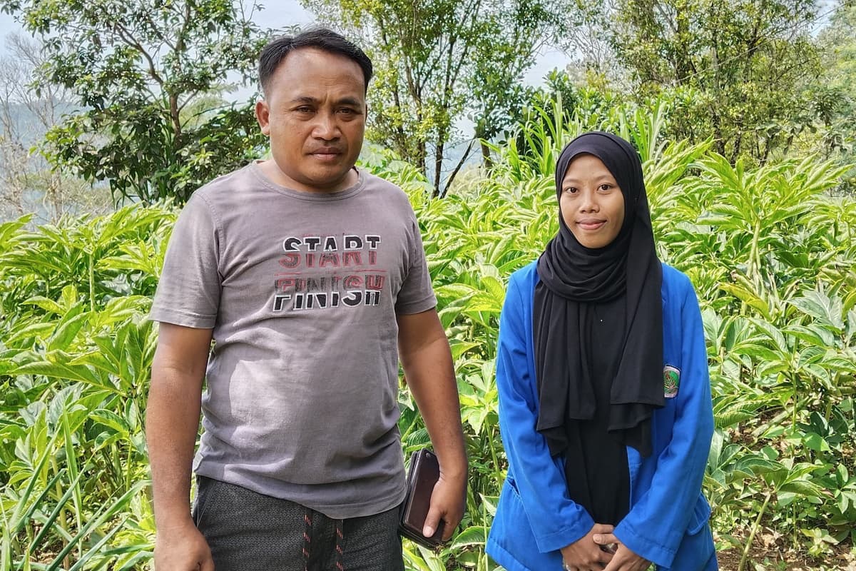 Panen Porang, Petani Ngadirojo Pacitan Raup Cuan Menggiurkan