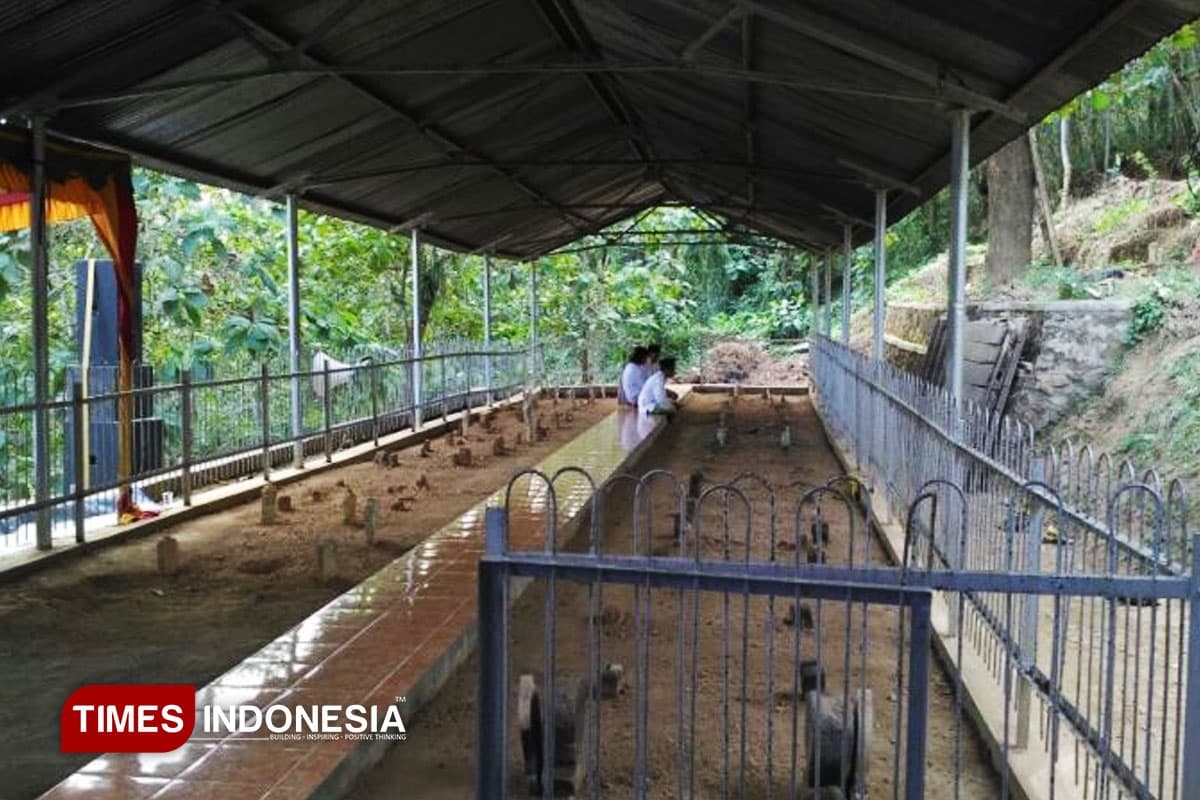 Terungkap! Ulama Pacitan Ini Ternyata Pelajar Pertama Nusantara di Al Azhar Kairo